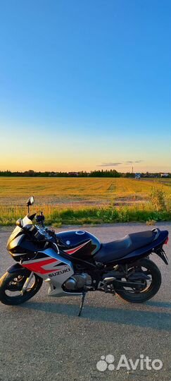 Suzuki GS500F