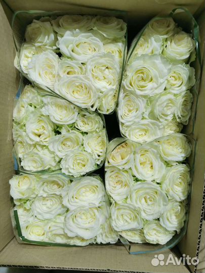 Букеты к 1сентября