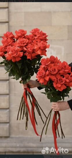 Букет французский роз