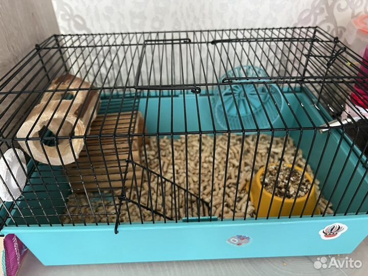 Джунгарский хомяк с клеткой