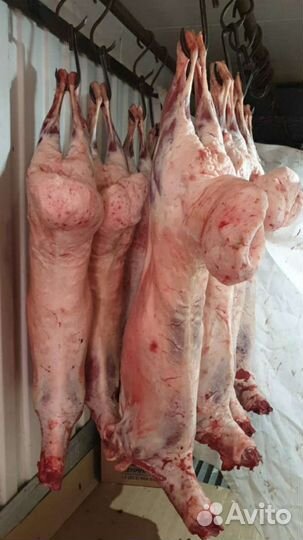 Охлажденное мясо Халяль