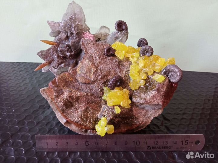 Окаменелости минералы