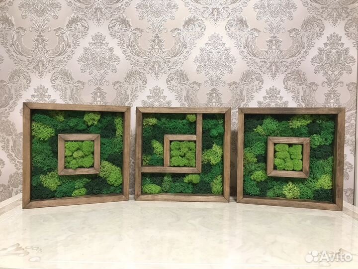 Стабилизированный мох