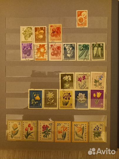 Почтовые марки Болгарии