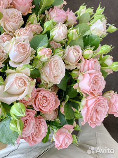 Кустовые розы Букеты