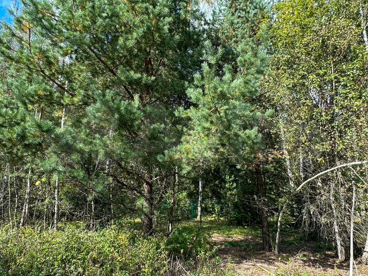 Участок 8 сот. (ИЖС)