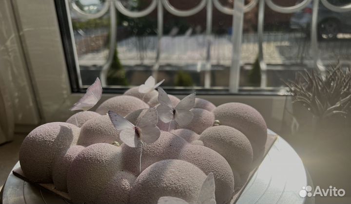 Муссовые и бисквитные торты