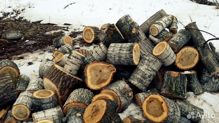 Дрова бесплатно самовывоз