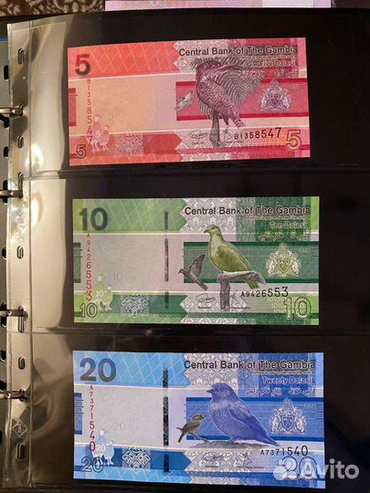 Банкноты весь мир набор 3