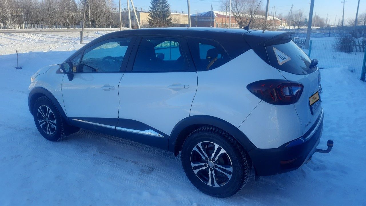 Renault Kaptur: фото владельца