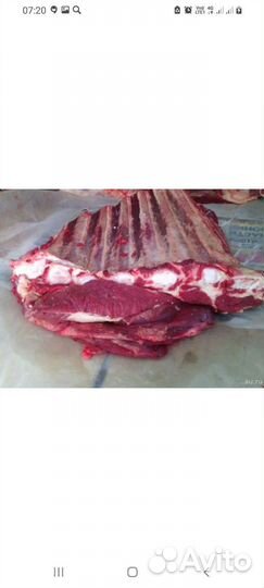 Мясо говядина домашняя молодая телятина