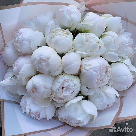 Пионы Букет