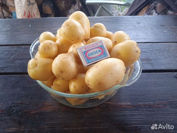 Продам картофель с доставкой