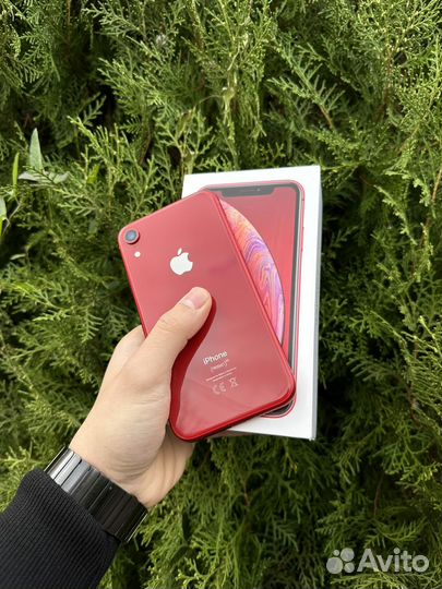 iPhone Xr, 64 ГБ