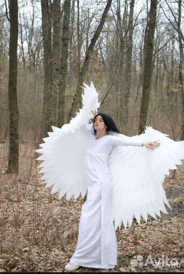 Крылья ангела