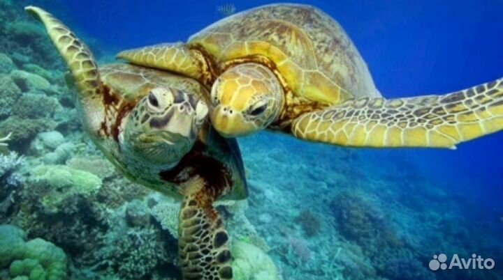 Океанариум в Казани