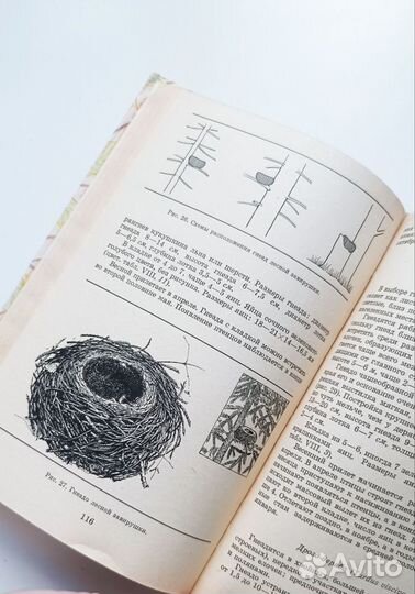 Определитель птичьих гнезд А. В. Михеев 1975