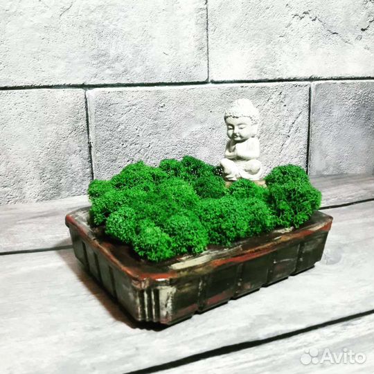 Декоративная композиция с стабилизированным мхом