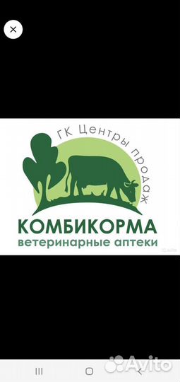 Грибная сырная закваска 