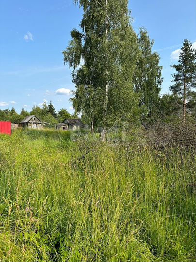 Участок 10 сот. (СНТ, ДНП)