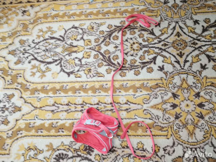 Шлейка для кошки