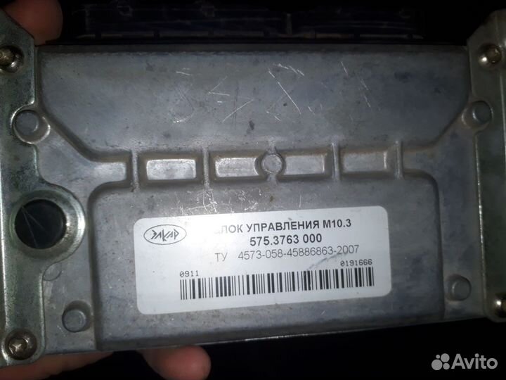 Эбу мозги газель