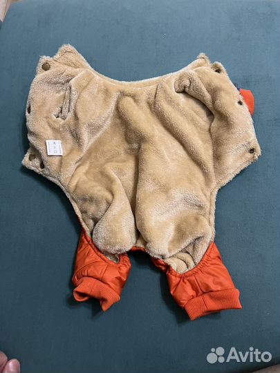 Одежда для маленьких собак