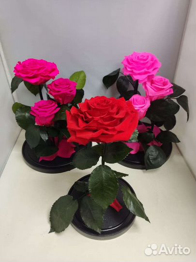 Подарок маме/ Роза в колбе