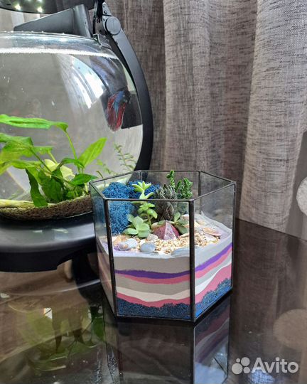 Продам флорариум композицию из цветов