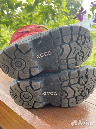 Сапожки зимние ecco на девочку размер 25