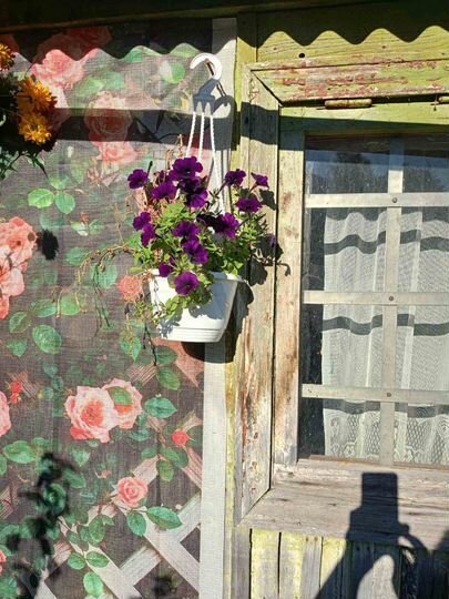 Дача 22 м² на участке 4,3 сот.