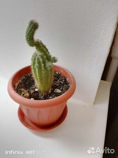 Г. Волгоград