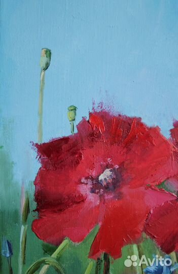 Картина маслом Маки холст 40х45 см