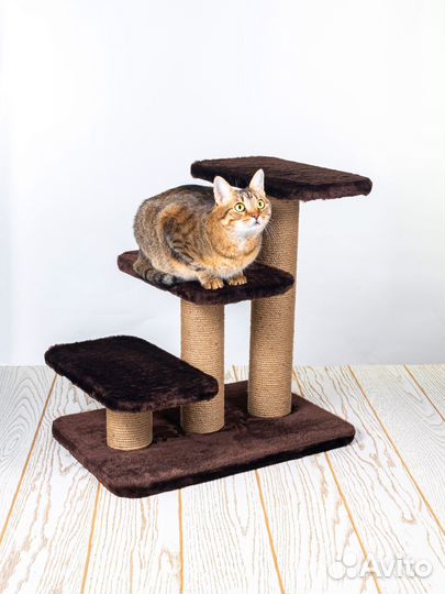 Когтеточка - ступенька