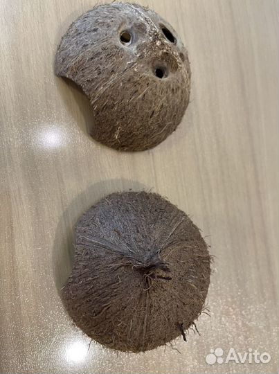 Домики укрытия для аквариума