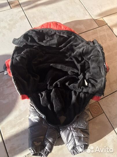 Одежда для собак