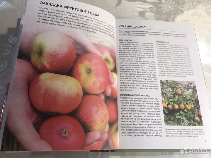 Книга Алана Титчмарш. Фруктовый сад