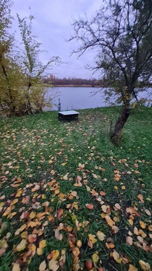 Участок 16 сот. (ИЖС)