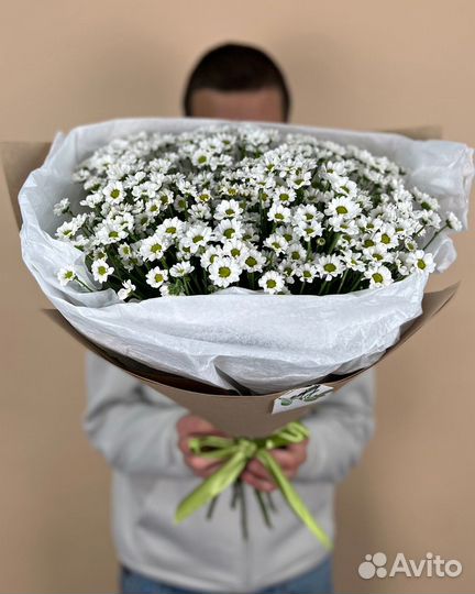 Красивый Букет из Ромашек. Цветы