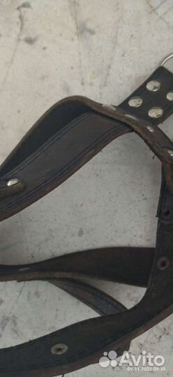 Шлейка для средней собаки