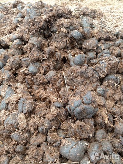 Конский навоз бесплатно