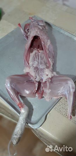 Продам мясо кролика