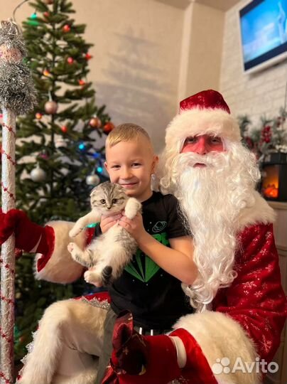 Дед мороз и снегурочка