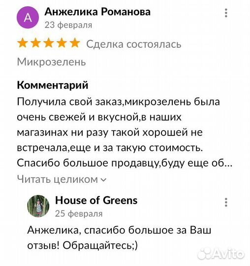 Микрозелень брокколи