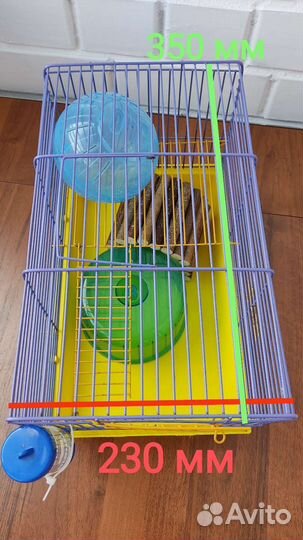 Клетка для джунгарского хомяка