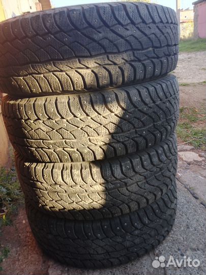 Viatti Bosco Nordico V-523 215/65 R16