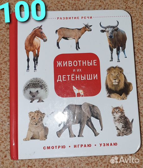 Развивающие книги и карточки
