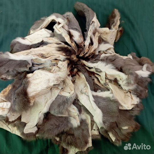 Шкурки белки пакетом