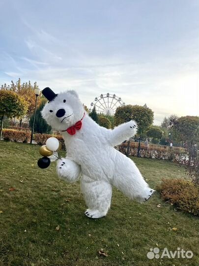 Белый мишка поздравление аниматор на праздник