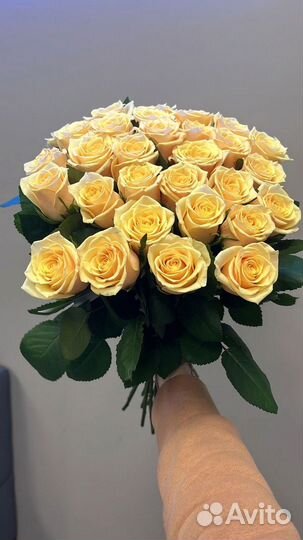 Розы Мордовия